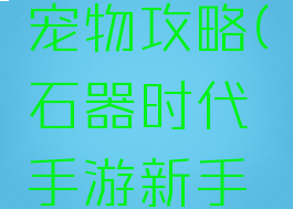 石器时代手游新手宠物攻略(石器时代手游新手宠物攻略大全)
