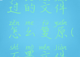 石墨修改过的文件怎么复原(石墨文件是什么)