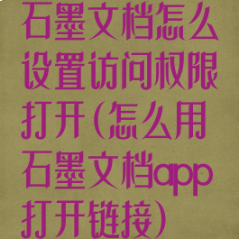 石墨文档怎么设置访问权限打开(怎么用石墨文档app打开链接)