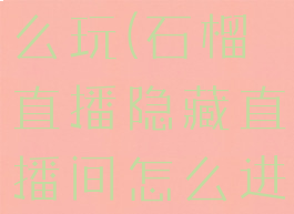 石榴直播怎么玩(石榴直播隐藏直播间怎么进入)