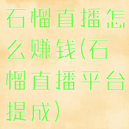 石榴直播怎么赚钱(石榴直播平台提成)