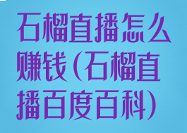 石榴直播怎么赚钱(石榴直播百度百科)