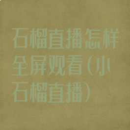 石榴直播怎样全屏观看(小石榴直播)