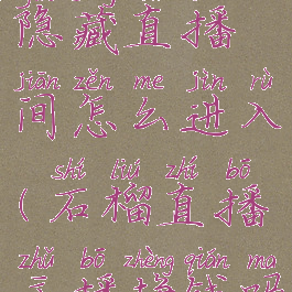 石榴直播隐藏直播间怎么进入(石榴直播主播挣钱吗)