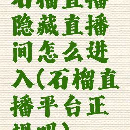 石榴直播隐藏直播间怎么进入(石榴直播平台正规吗)