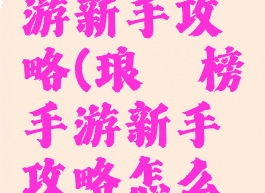 琅琊榜手游新手攻略(琅琊榜手游新手攻略怎么玩)