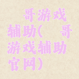 瑾哥游戏辅助(瑾哥游戏辅助官网)