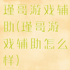 瑾哥游戏辅助(瑾哥游戏辅助怎么样)