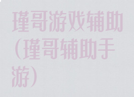 瑾哥游戏辅助(瑾哥辅助手游)