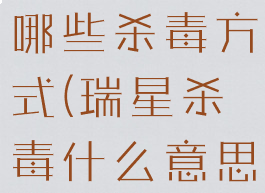 瑞星杀毒有哪些杀毒方式(瑞星杀毒什么意思)