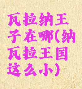 瓦拉纳王子在哪(纳瓦拉王国这么小)