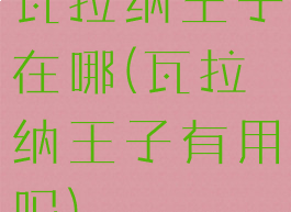 瓦拉纳王子在哪(瓦拉纳王子有用吗)