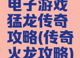 电子游戏猛龙传奇攻略(传奇火龙攻略)