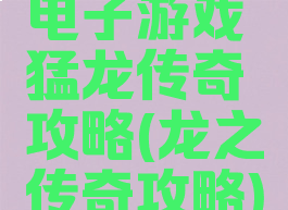 电子游戏猛龙传奇攻略(龙之传奇攻略)