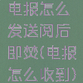 电报怎么发送阅后即焚(电报怎么收到)