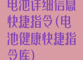 电池详细信息快捷指令(电池健康快捷指令库)