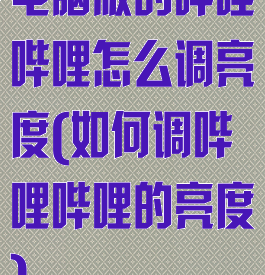 电脑版的哔哩哔哩怎么调亮度(如何调哔哩哔哩的亮度)