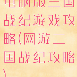 电脑版三国战纪游戏攻略(网游三国战纪攻略)