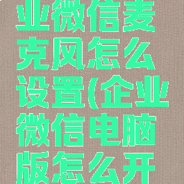 电脑版企业微信麦克风怎么设置(企业微信电脑版怎么开启麦克风)