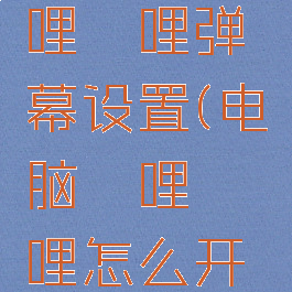 电脑版哔哩哔哩弹幕设置(电脑哔哩哔哩怎么开弹幕)