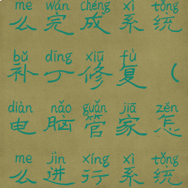 电脑管家怎么完成系统补丁修复(电脑管家怎么进行系统修复)