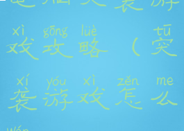 电脑突袭游戏攻略(突袭游戏怎么玩)