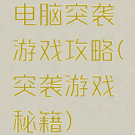 电脑突袭游戏攻略(突袭游戏秘籍)