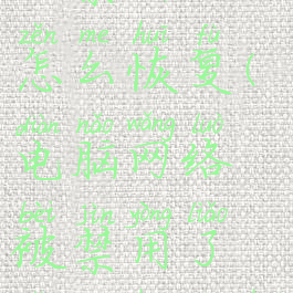 电脑网络被禁用了怎么恢复(电脑网络被禁用了怎么恢复回来)