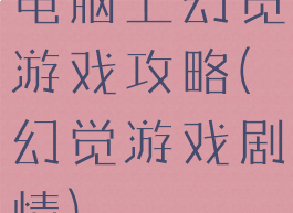 电脑上幻觉游戏攻略(幻觉游戏剧情)