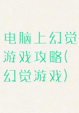 电脑上幻觉游戏攻略(幻觉游戏)