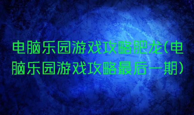 电脑乐园游戏攻略肥龙(电脑乐园游戏攻略最后一期)