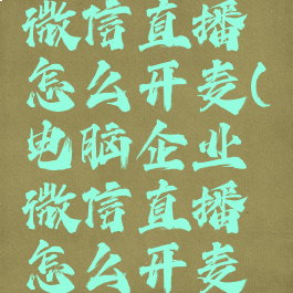 电脑企业微信直播怎么开麦(电脑企业微信直播怎么开麦克风模式)