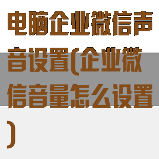 电脑企业微信声音设置(企业微信音量怎么设置)