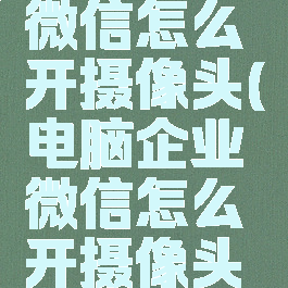 电脑企业微信怎么开摄像头(电脑企业微信怎么开摄像头模式)