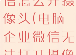 电脑企业微信怎么开摄像头(电脑企业微信无法打开摄像头)