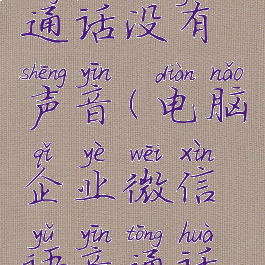 电脑企业微信语音通话没有声音(电脑企业微信语音通话没有声音怎么办)