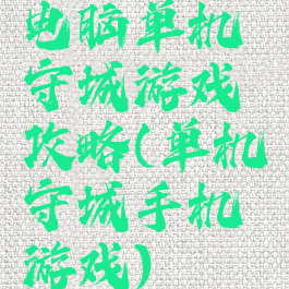 电脑单机守城游戏攻略(单机守城手机游戏)