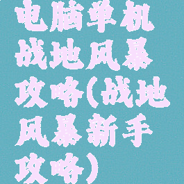 电脑单机战地风暴攻略(战地风暴新手攻略)