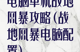 电脑单机战地风暴攻略(战地风暴电脑配置)