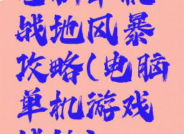 电脑单机战地风暴攻略(电脑单机游戏战地)