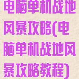 电脑单机战地风暴攻略(电脑单机战地风暴攻略教程)