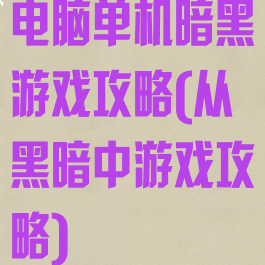 电脑单机暗黑游戏攻略(从黑暗中游戏攻略)