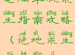 电脑单机求生指南攻略(绝地求生如何单机)