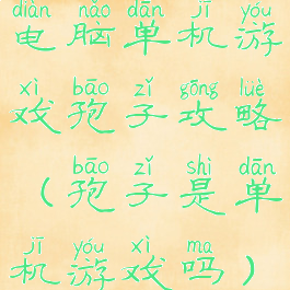 电脑单机游戏孢子攻略(孢子是单机游戏吗)