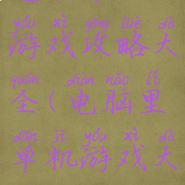 电脑单机游戏攻略大全(电脑里单机游戏大全)