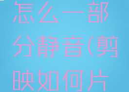 电脑剪映怎么一部分静音(剪映如何片段静音)