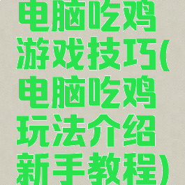 电脑吃鸡游戏技巧(电脑吃鸡玩法介绍新手教程)