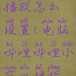 电脑哔哩哔哩小窗口播放怎么设置(电脑哔哩哔哩小窗口播放怎么设置视频)