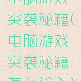 电脑游戏突袭秘籍(电脑游戏突袭秘籍怎么输入)