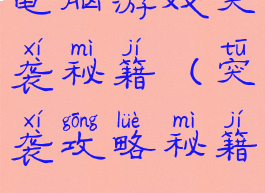 电脑游戏突袭秘籍(突袭攻略秘籍)